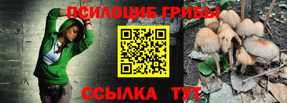 Псилоцибиновые грибы мицелий Корсаков