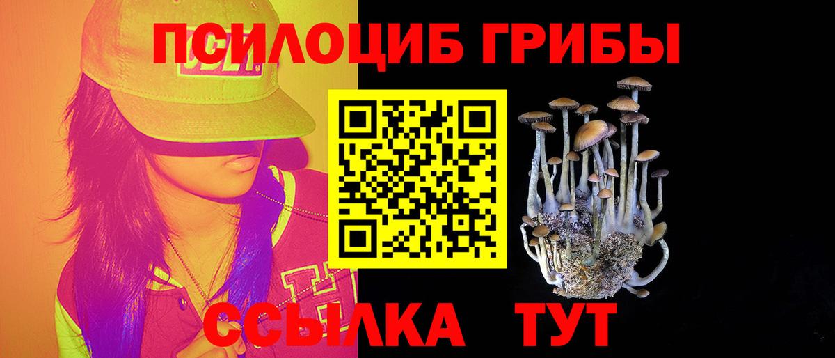 Галлюциногенные грибы прущие грибы  Вход с VPN  Корсаков 