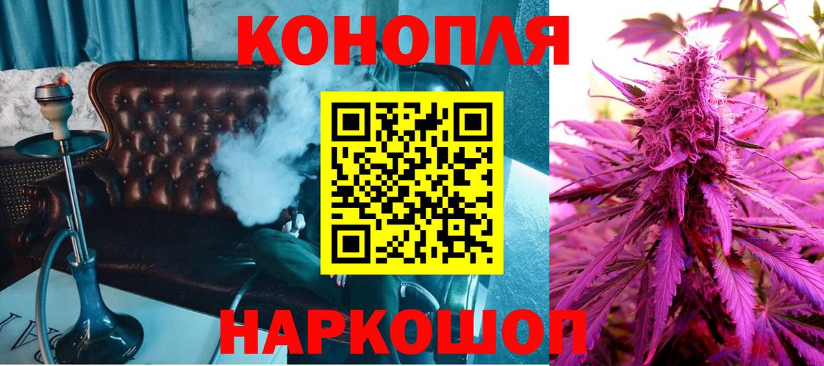 Бошки марихуана план  Конопля индика  Корсаков  Вход с VPN  Конопля ГИДРОПОН 